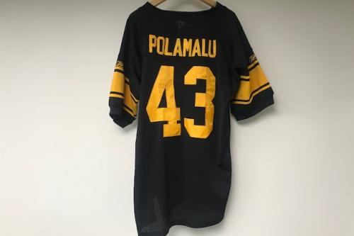 Reebok NFL Pittsburgh Steelers TROY POLAMALU #43 Stitched Jersey