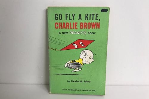 Go Fly A Kite, Charlie Brown: A New Peanuts Book | Softcover Book
