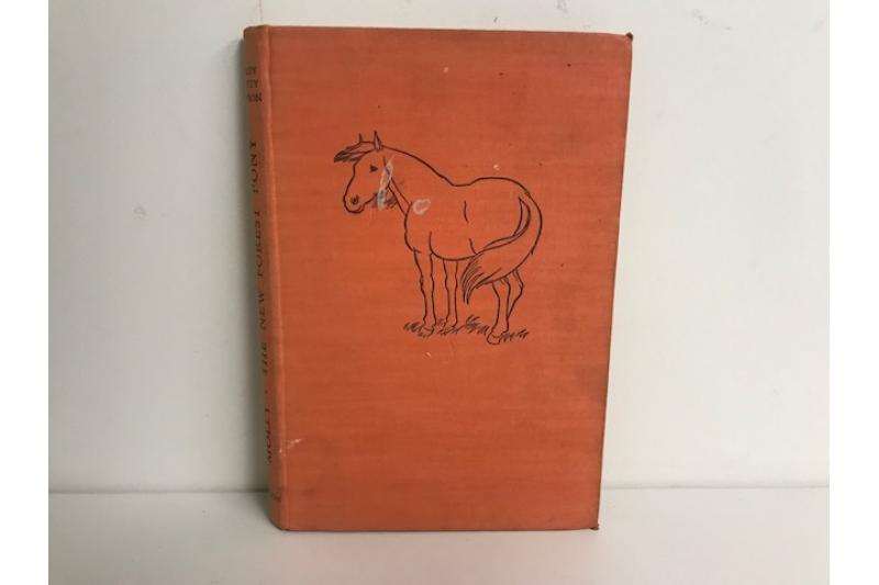 Molly: The New Forest Pony | Hardcover Book