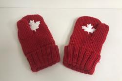 2010 Olympic Gloves / Mittens