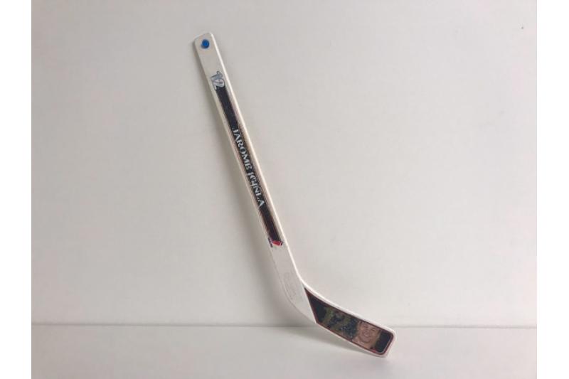 Jarome Iginla Mini Stick